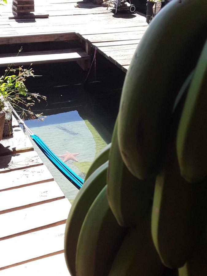 Life Is Good Villa Bocas del Toro Exterior photo